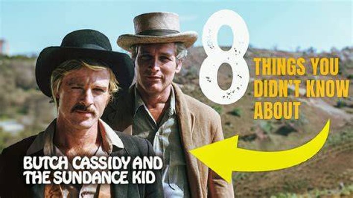 8 Things You Didn't Know About Kim Darby Super Stars Bio