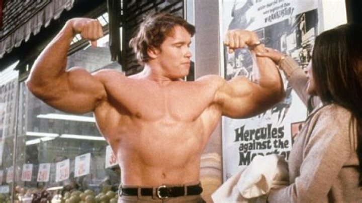 Arnold Schwarzenegger's Net Worth 2023 Salary & Net Worth
