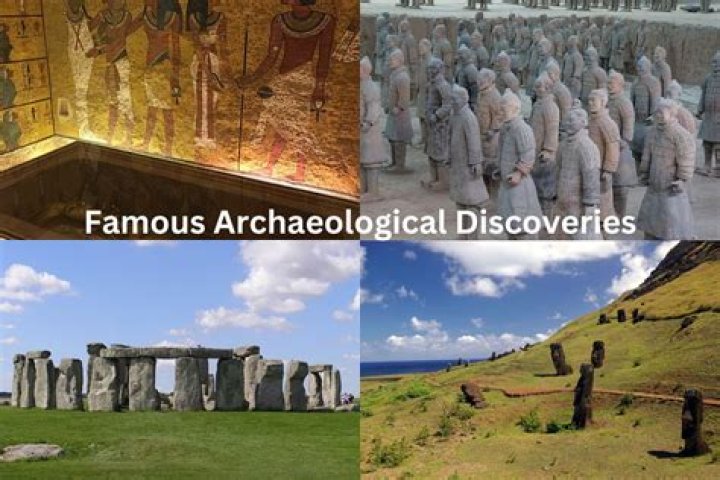 Discoveries & Insights For The Curious