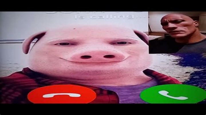 Fake VS Reality (John Pork) YouTube