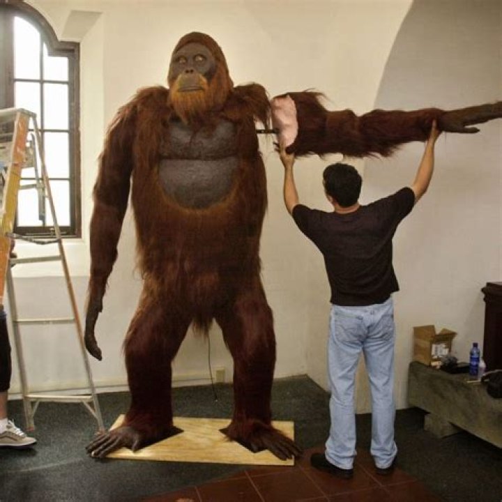 How tall was yoastmark(max-width: 744px) 100vw, 744px