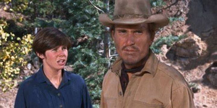 Kim Darby: A Journey Through Age, Marriage, Ethnicity, And Net Worth