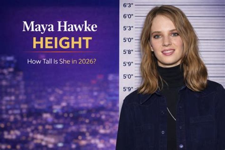 Maya Hawke Height How Tall is Maya Hawke? Comprehensive English