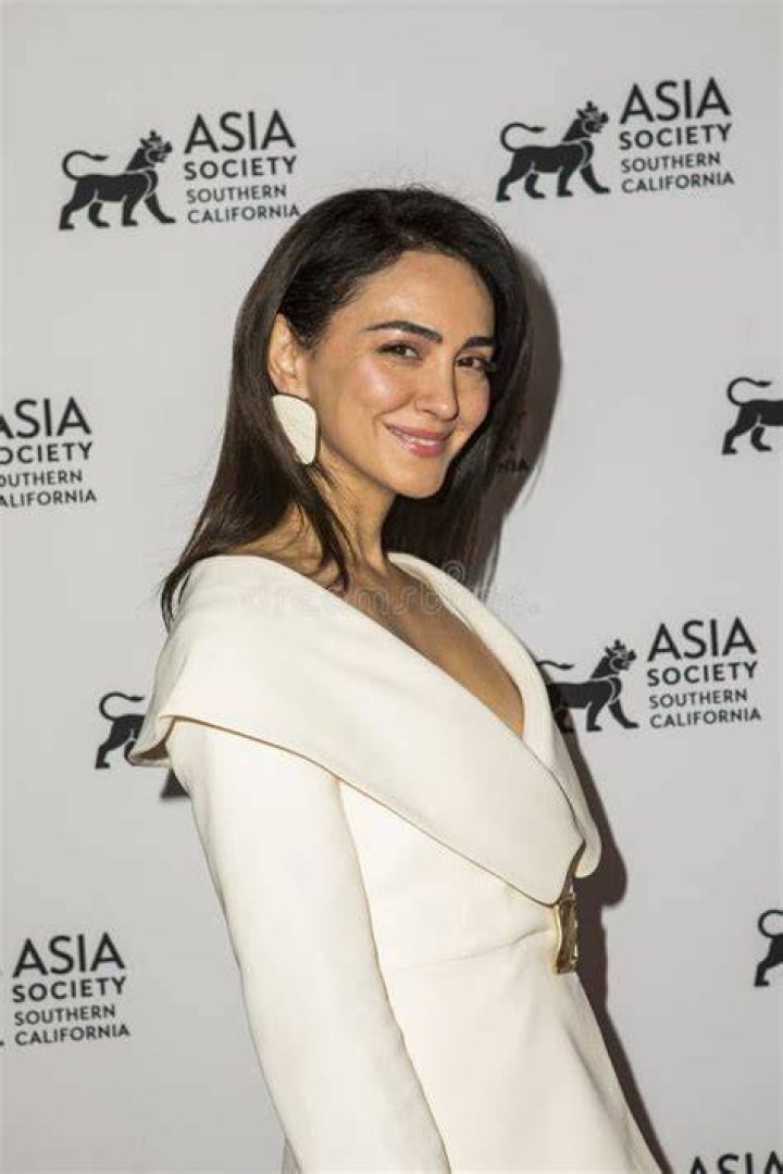 Nazanin Boniadi editorial image. Image of nazanin, west 25673150