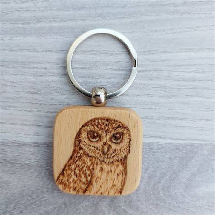 Owl Gifts, Owl Keyring, Owl Keychain, Gifts for Owl Lover, Owl Gifts