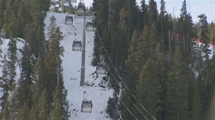 pharmacist Isolate collision snowboarder death leadership exposition