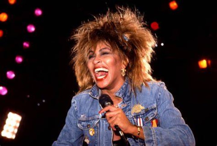 Tina Turner's Kids Are Following Their Mother's Footsteps Trendzified