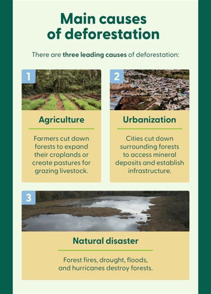 Uncover Its Causes And Impact