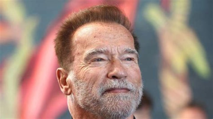 Wait, Arnold Schwarzenegger Has How Many Farm Animals? Architectural