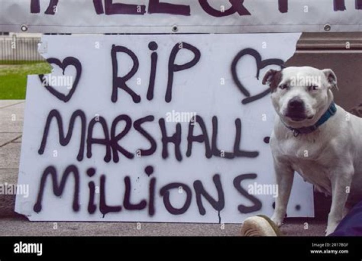 WATCH Marshall and Millions Video, Could It Have Been Prevented?